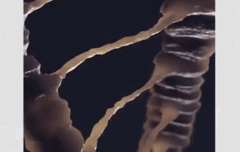 Screenshot 2025-11-06 102401